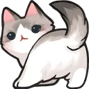Cat_Ass