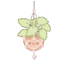 Plant_2