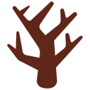 leafless_tree