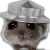kettle_hamster