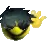 lighterwavey