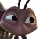 bug
