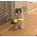 hehe_hihi_pwease