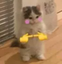 hehe_hihi_pwease