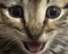cinderhappy