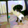 UntitledvideoMadewithClipchamp42