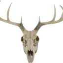 wendigo