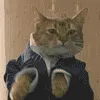 CatSuit