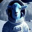 spacegoat