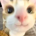 WAWAWA