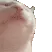 catvibe