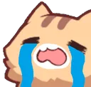 catsob
