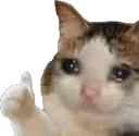catok