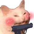 Catwithgun