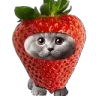 shubert