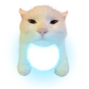 starlight_cat