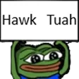Hawk_Tuah
