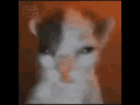 emoji_160