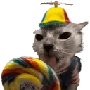 silly_creature silly_creature