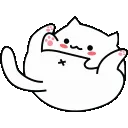 Cat_bum