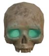 EnshSkull