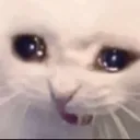 crycat