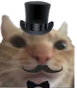 catstare_smart