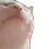 cat_jam