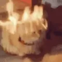 cat_fire