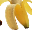 BottomNANA_leg BottomNANA_leg