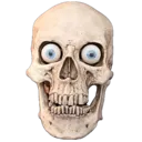 skull