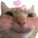 catHearts Discord emoji
