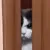 angrypeek