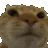 cat_no cat_no