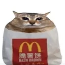 catfry