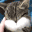 pA_catOhNo Discord emoji