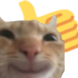 cat_like custom emote from NitroLoot | Free Nitro Giveaways &  Community