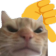 cat_dislike Discord sticker - NitroLoot | Free Nitro Giveaways &  Community