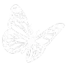 68610butterfly