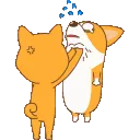 holakitty_hang holakitty_hang