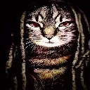 Cat_von