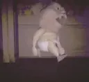 rugrat3
