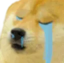 legitcry
