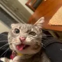 emoji_1