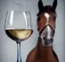 Horse_Wine