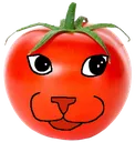 hmmmato