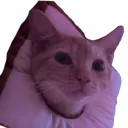 hoagiebread hoagiebread