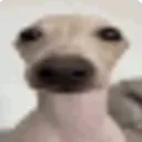 que