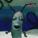 plankton plankton