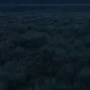 7_